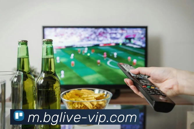 多媒体互动体验