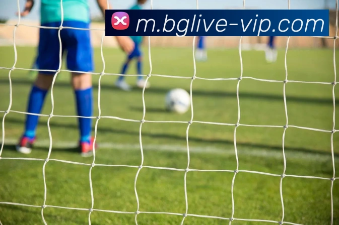 bg真人APP 高清赛事图